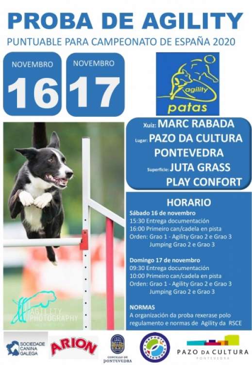Agility. Prueba de Agility (Pontevedra   España)