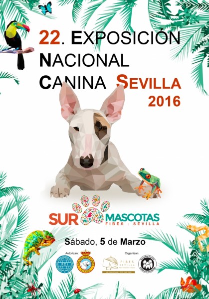 Belleza. EXPOSICIÓN NACIONAL CANINA (Sevilla   España)
