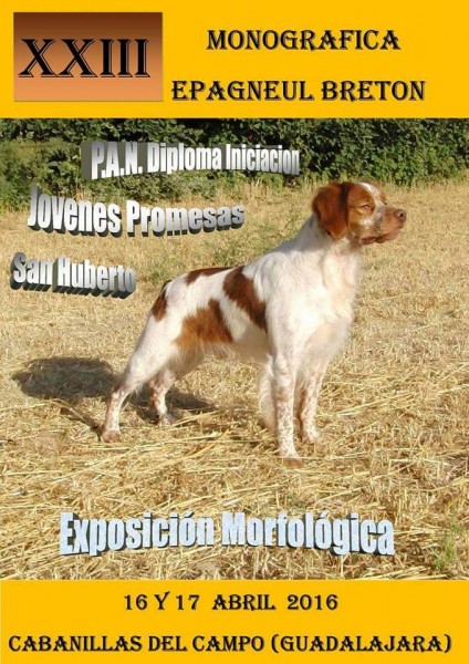 PETSmania - Spaniel Bretón. Belleza. XXIII Monográfica del CLUB ESPAÑOL del EPAGNEUL BRETON (Guadalajara   España)