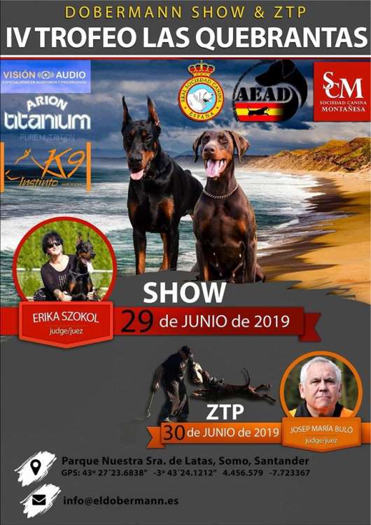 Dobermann. Belleza. IV TROFEO DE LAS QUEBRANTAS (Cantabria   España)
