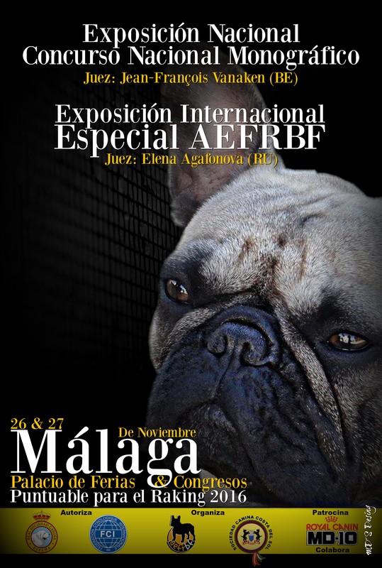 ASOCIACIÓN ESPAÑOLA PARA EL FOMENTO DE LA RAZA BULLDOG FRANCÉS - Bulldog Francés. Belleza. I CONCURSO MONOGRÁFICO MÁLAGA AEFRBF 2016 (Málaga   España)
