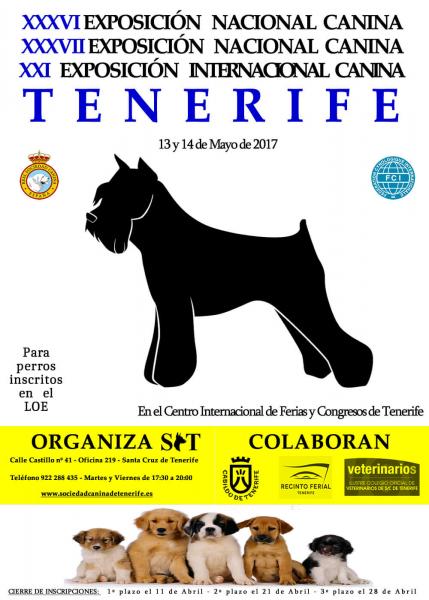 Belleza. EXPOSICION CANINA NACIONAL CANINA (C.A.C) (Santa Cruz de Tenerife   España)