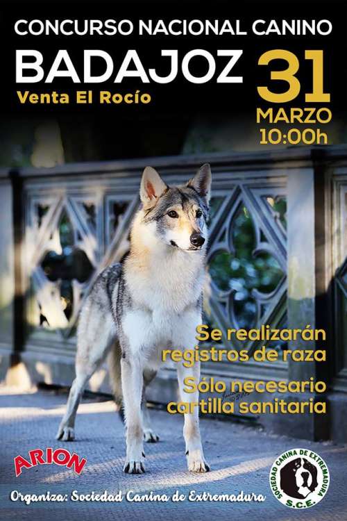 Sociedad Canina de Extremadura - Belleza. CONCURSO NACIONAL CANINO (Badajoz   España)