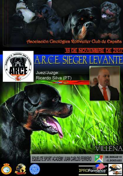 Asociación Cinológica Rottweiler Club de España - ARCE - Belleza. ARCE SIEGER LEVANTE   Monográfica del Rottweiler (Alacant   España)