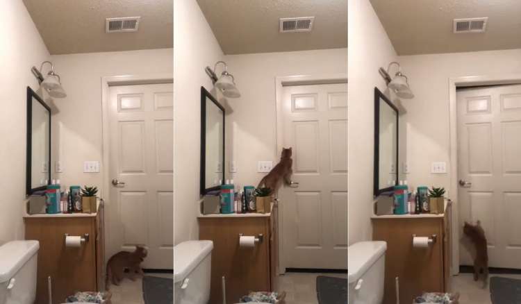 Cortesía de Twitter.