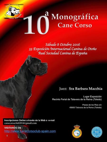 Belleza. X MONOGRÁFICA CLUB ESPAÑOL CANE CORSO ITALIANO (Toledo España) Belleza. X MONOGRÁFICA CLUB ESPAÑOL CANE CORSO ITALIANO (Toledo España)