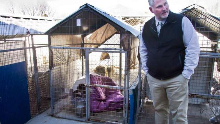 Las bajas temperaturas han generado preocupación sobre los perros que permanecen al aire libre.