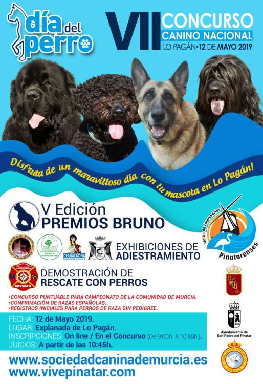 Sociedad Canina de Murcia - Belleza. CONCURSO CANINO DE LO PAGAN (Murcia   España)