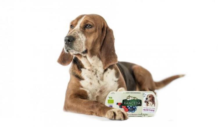 Novedosa campaña para fomentar la adopción de perros sin hogar.