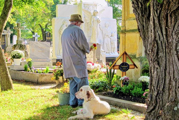 Hombre con su perro en el cementerio