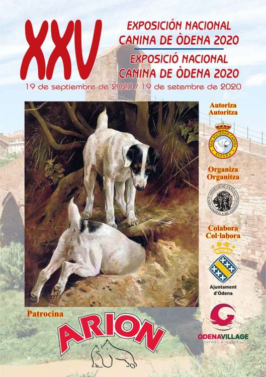 Associació Canina Unió Cinófila de Catalunya - Belleza. XXV EXPOSICIÓN NACIONAL CANINA (Barcelona   España)