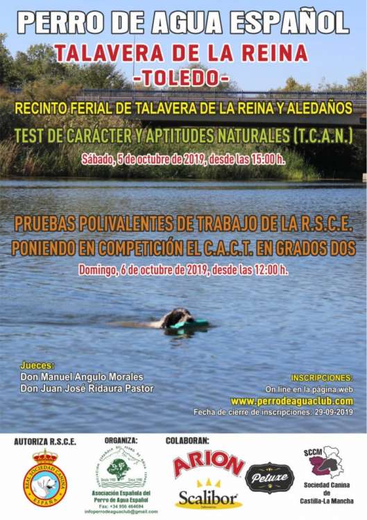 Trabajo. PRUEBAS POLIVALENTES DE TRABAJO DE LA RSCE GRADO 2  CON C.A.C.T. EN GRADO 2 (Toledo   España)