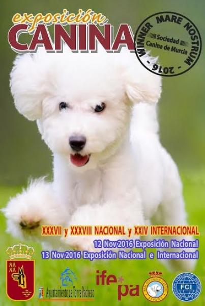 Belleza. XXXVIII EXPOSICIÓN CANINA NACIONAL Y XXIV EXPOSICIÓN CANINA INTERNACIONAL (CAC   CACIB) (Murcia   España)