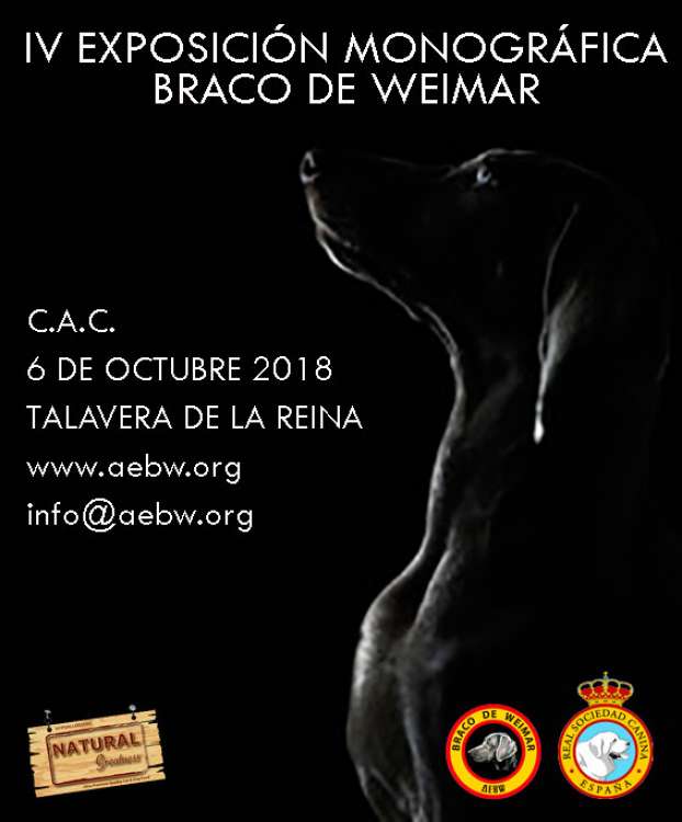 Asociacion Española para la cría y selección del Braco de Weimar - Belleza. IV EXPOSICIÓN MONOGRÁFICA DEL BRACO DE WEIMAR (Toledo   España)