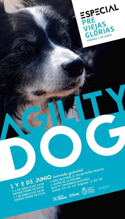 Agility. Prueba de Agility (Cantabria   España)