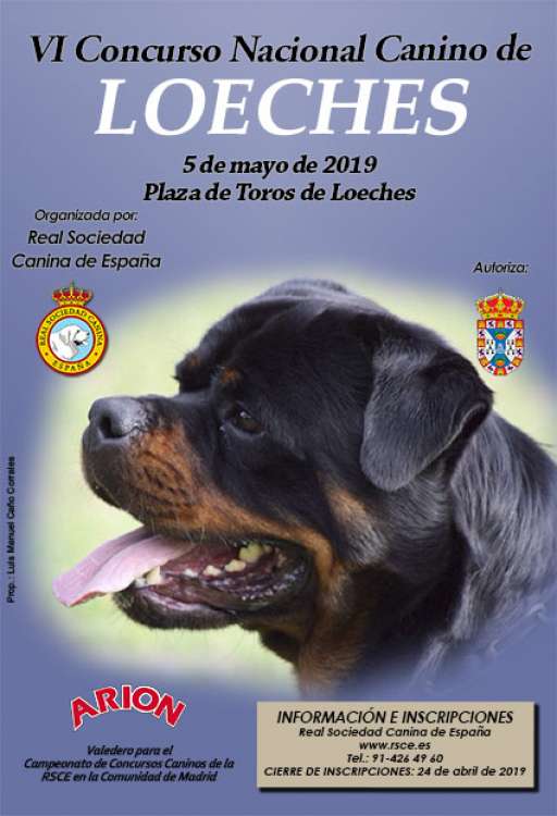 Real Sociedad Canina de España - Belleza. VI Concurso Nacional Canino de Loeches (Madrid   España)