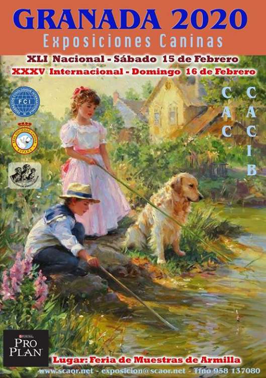 Belleza. XXXVI EXPOSICIÓN  INTERNACIONAL GRANADA 2020 (Granada   España)