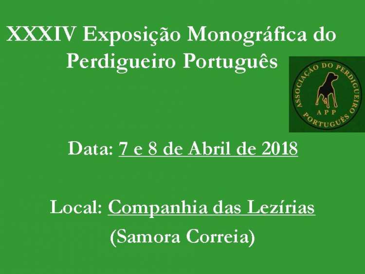 Perdiguero Portugués. Belleza. 34.ª Exposición Canina Monográfica do Perdigueiro Português (CAC QC) (Santarem   Portugal)