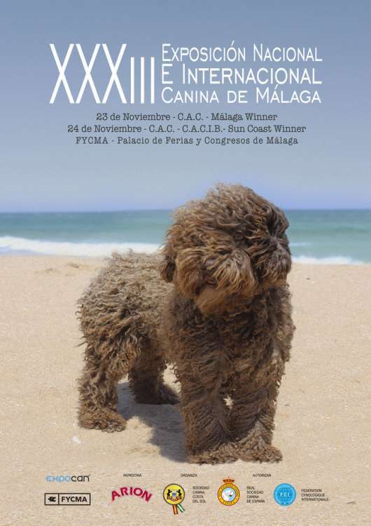 Belleza. XXXIII EXPOSICIÓN CANINA INTERNACIONAL   SUN COAST WINNER (Málaga   España)
