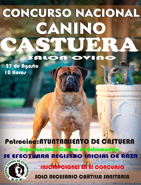 Belleza. CONCURSO NACIONAL CANINO (Badajoz   España)