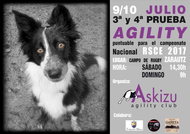 Agility. 3ª y 4ª Prueba de Agility (Guipúzcoa   España)