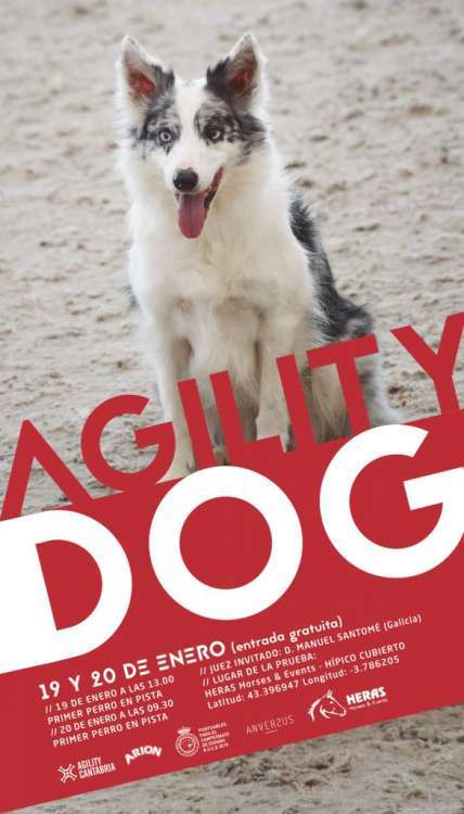 Prueba de Agility Prueba de Agility