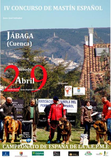 Asociación Española del Perro Mastín Español - Mastín Español. Belleza. IV CONCURSO DE MASTÍN ESPAÑOL (Cuenca   España)