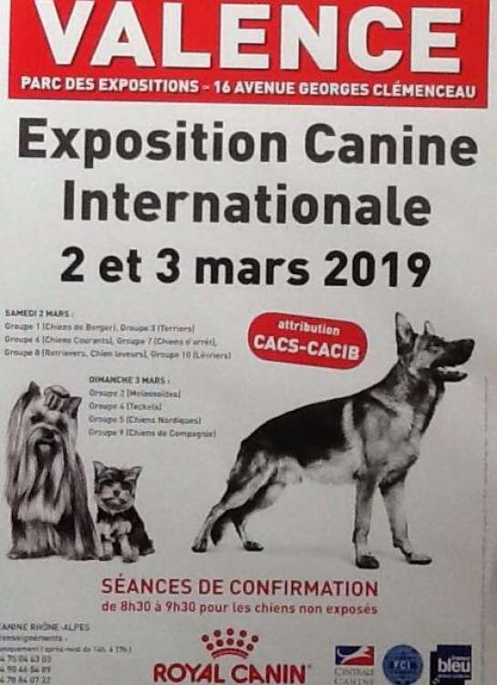 PETSmania - EXPOSITION CANINE INTERNATIONALE (CACS   CACIB)