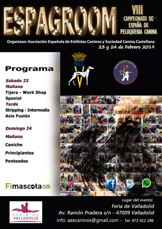 Peluqueria. VIII CAMPEONATO DE ESPAÑA DE PELUQUERIA CANINA (Valladolid   España)