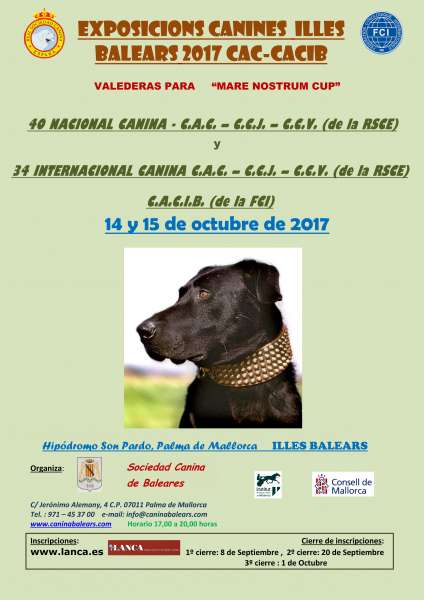 Belleza. 34 EXPOSICION INTERNACIONAL CANINA ISLAS BALEARES (Illes Balears   España)
