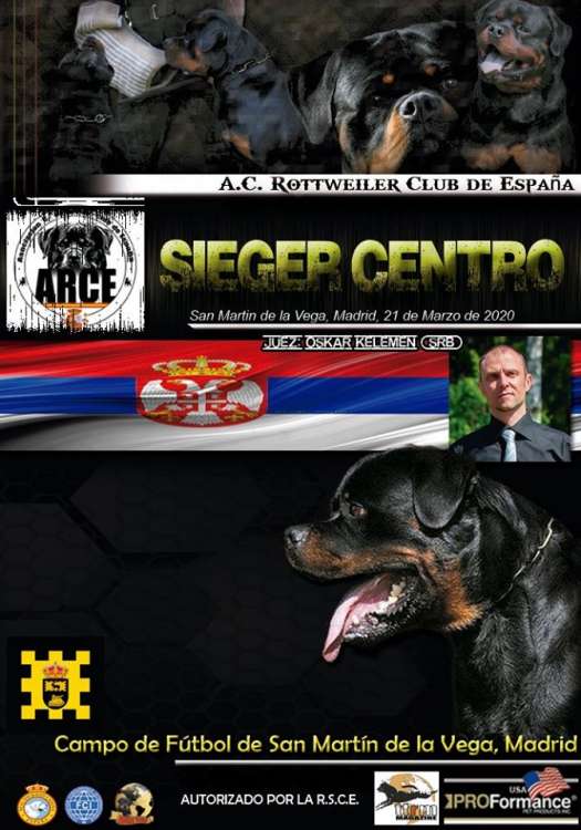 Asociación Cinológica Rottweiler Club de España - ARCE - Rottweiler. Belleza. A.R.C.E. SIEGER CENTRO 2020 (Madrid   España)