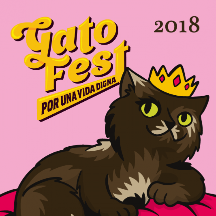 Contarán con actividades para que todos los amantes de los gatos disfruten.
