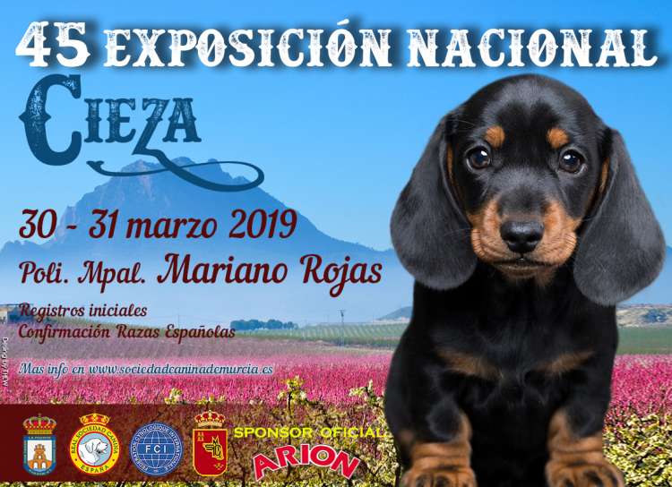 Sociedad Canina de Murcia - Belleza. EXPOSICION NACIONAL CANINA de PRIMAVERA (Murcia   España)