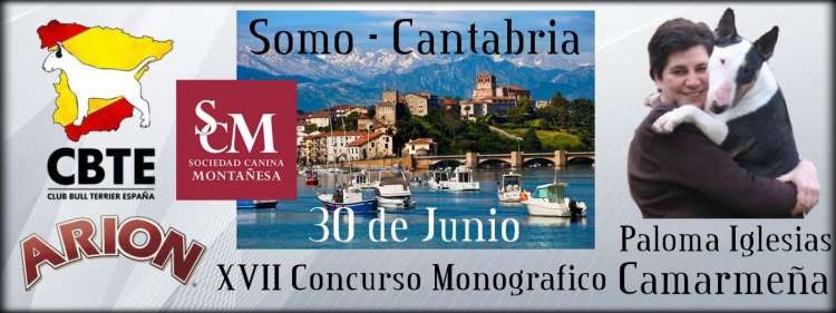 CLUB BULL TERRIER ESPAÑA - Bull Terrier. Belleza. XVII CONCURSO MONOGRÁFICO NACIONAL CBTE (Cantabria   España)