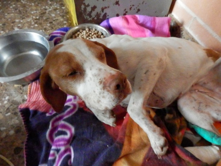 WENDOLYN.  WENDOLYN.