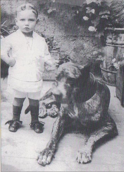 Dogo Canario. Güimar de Tenerife, 1918 Este ejemplar de macho verdino, orejas recortadas y fuerte collar resulta un valiosísimo eslabón en la tradición del Presa Canario. Dogo Canario. Güimar de Tenerife, 1918 Este ejemplar de macho verdino, orejas recortadas y fuerte collar resulta un valiosísimo eslabón en la tradición del Presa Canario.