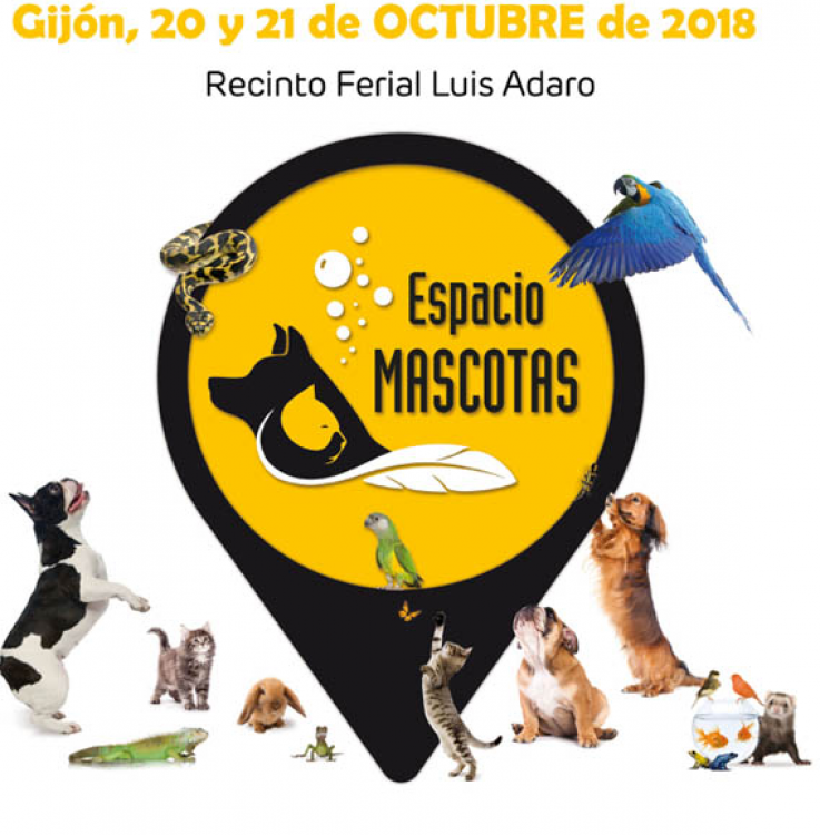 PETSmania - IV Concurso Nacional Canino de Gijón 2018