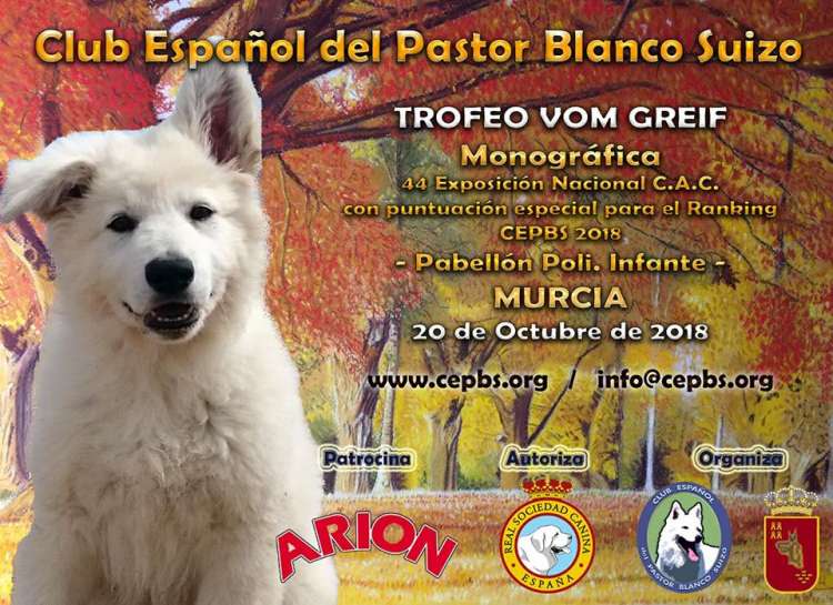 Club Español del Pastor Blanco Suizo - Pastor Blanco Suizo. Belleza. TROFEO VOM GREIF Monográfica   TAN 2018 del PASTOR BLANCO SUIZA (Murcia   España)