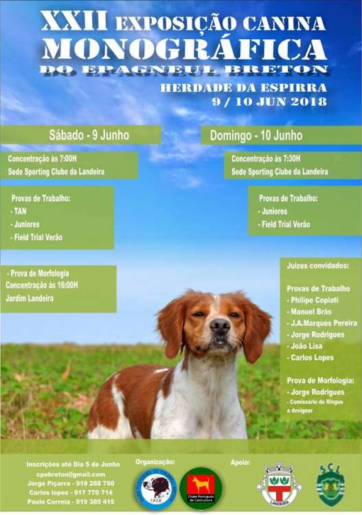 CLUBE PORTUGUÊS EPAGNEUL BRETON - CPEB - Spaniel Bretón. Belleza. 22.ª Exposición Canina Monográfica do Epagneul Bretão (CAC QC) (Evora   Portugal)