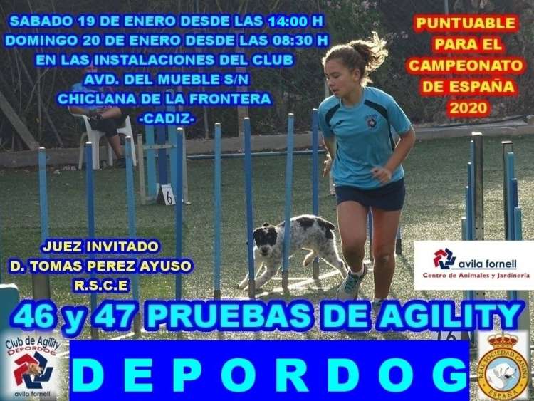 Agility. 46 y 47 Pruebas de Agility (Cádiz   España)