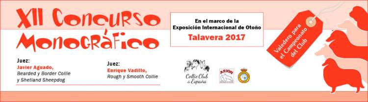 XII Concurso Monográfico del Collie Club de España