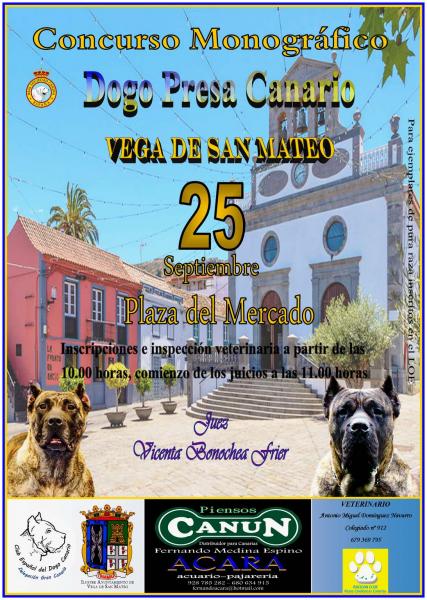 CLUB ESPAÑOL DEL DOGO CANARIO - Dogo Canario. Belleza. CONCURSO MONOGRÁFICO DEL DOGO DE PRESA CANARIO (Las Palmas   España)