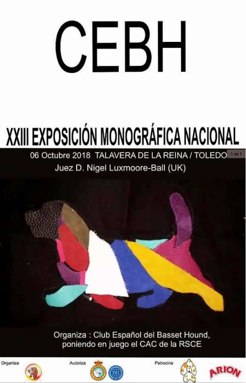 Belleza. XXIII EXPOSICIÓN NACIONAL MONOGRÁFICA DEL BASSET HOUND (Toledo   España)
