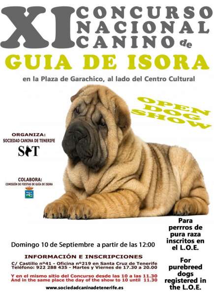 Belleza. XI Concurso Nacional Canino de Guía de Isora (Santa Cruz de Tenerife   España)