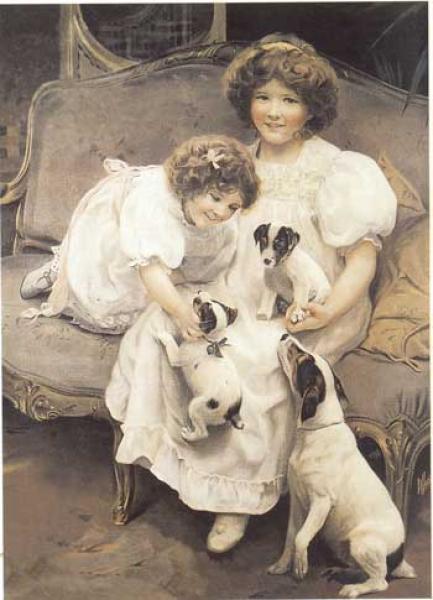 Parson Russell Terrier. Grabado de Epoca de Principio de siglo