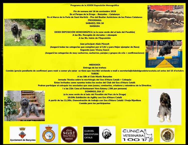 CLUB DEL GOS D´ATURA CATALÀ DE ESPAÑA - Gos d`Atura Catalá. Belleza. XXXIX EXPOSICIÓN MONOGRÁFICA DEL GOS D´ALTURA CATALÁ (Girona   España)