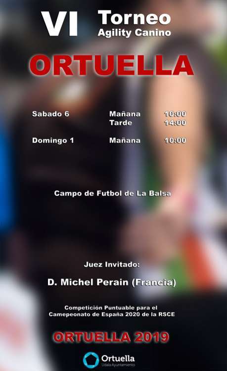 VI Torneo de Agility de Ortuella VI Torneo de Agility de Ortuella