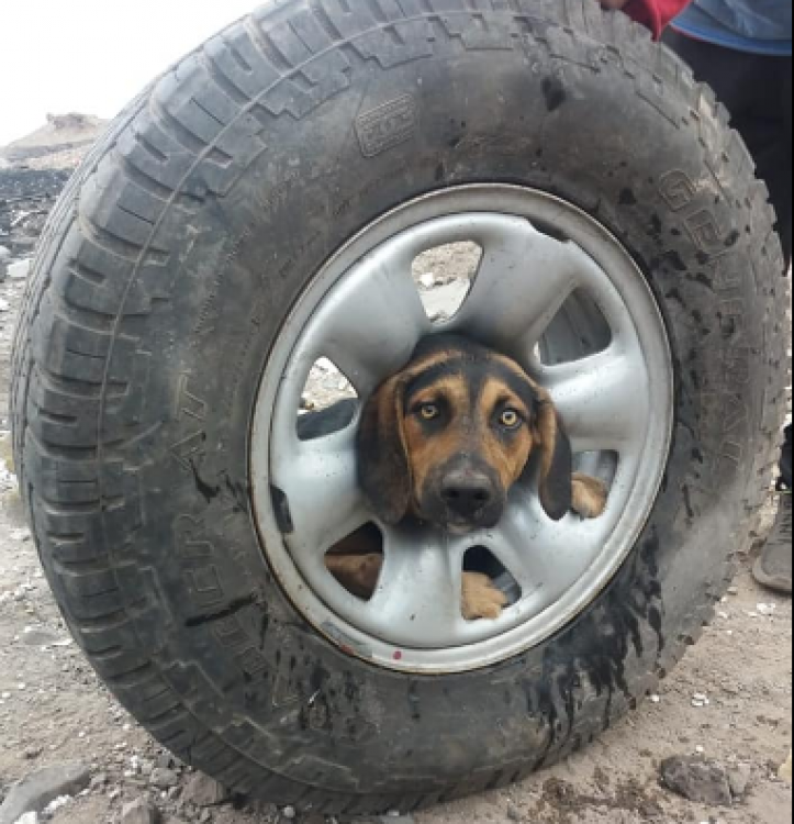 Imagen Facebook PET Municipalidad de Antofagasta Imagen Facebook PET Municipalidad de Antofagasta