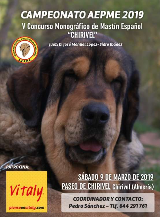 Asociación Española del Perro Mastín Español - Belleza. V CONCURSO MONOGRÁFICO DEL MASTÍN ESPAÑOL (Almería   España)
