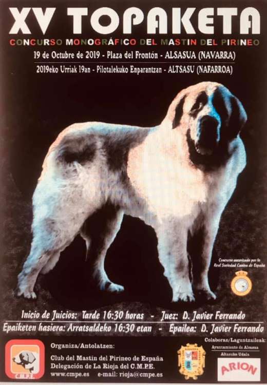 Belleza. CONCURSO MONOGRÁFICO DEL MASTÍN DEL PIRINEO   XV TOPAKETA (Navarra   España)
